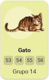 Qual o número do gato no jogo do bicho