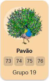 grupo 19 Pavao