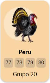 grupo 20 Peru