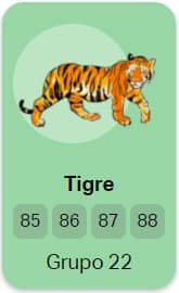 grupo 22 Tigre