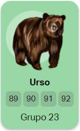 grupo 23 Urso