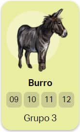 grupo 3 Burro