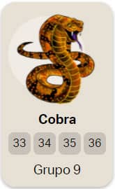 Qual é o número da cobra no jogo do bicho? Confira